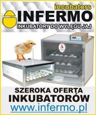 advertisement_alt
